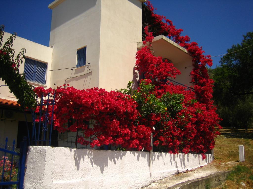 Villa Rosanna Plataria Exterior photo